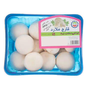 نوشیدنی سانی نس با طعم انبه - 240 میلی لیتر - تصویر 2